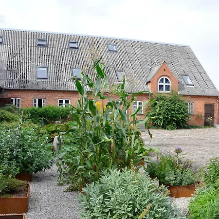 Bed and breakfast Lundsgaard 3*