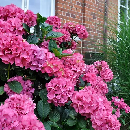 Bed & Breakfast Lundsgaard 3*