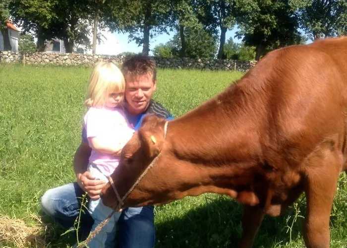 Couette-café Lundsgaard Fåborg