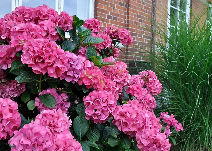 Couette-café Lundsgaard 3*